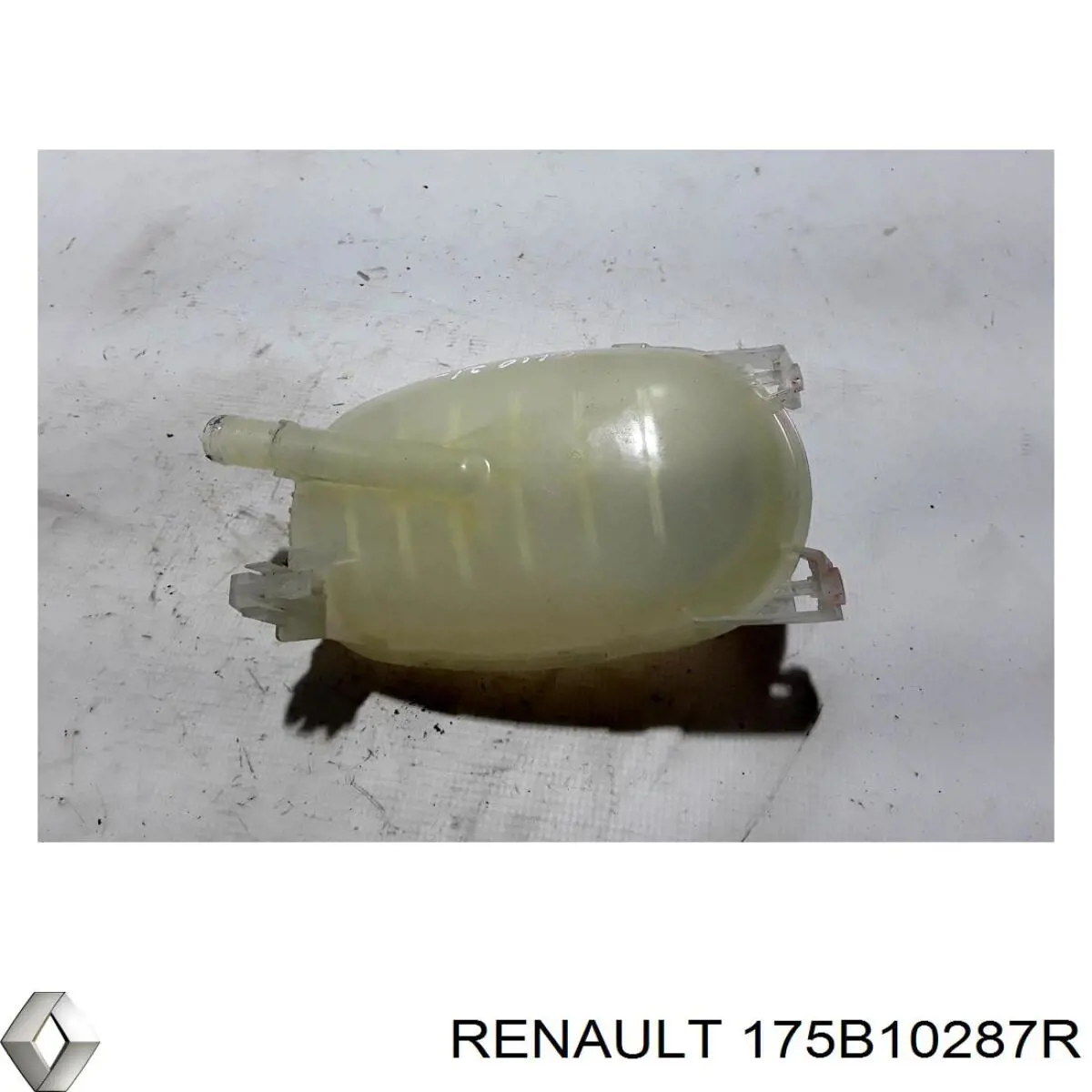 Купити 175B10287R Renault (RVI) 