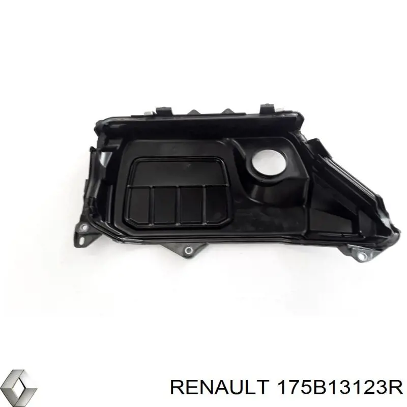  175B13123R Renault (RVI)