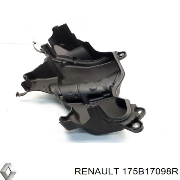 Купити 175B17098R Renault (RVI) 