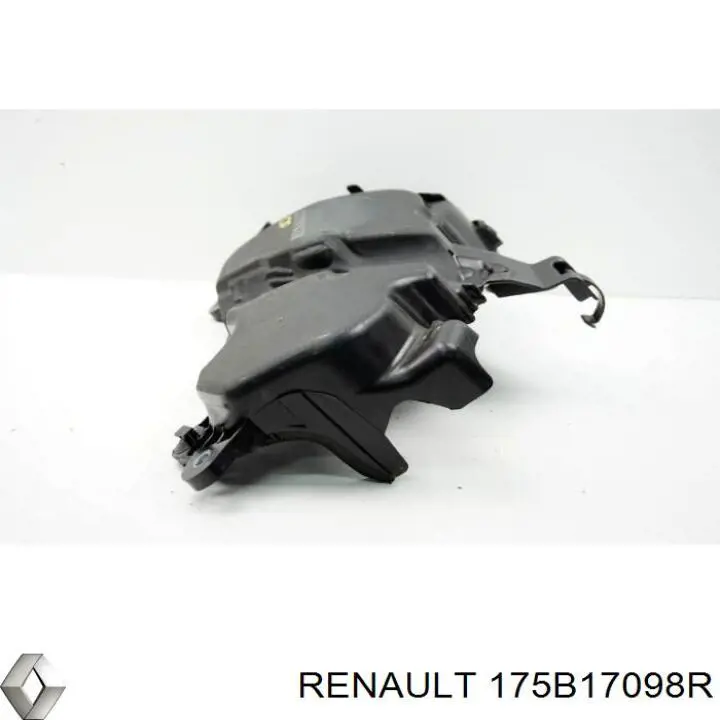  175B17098R Renault (RVI)