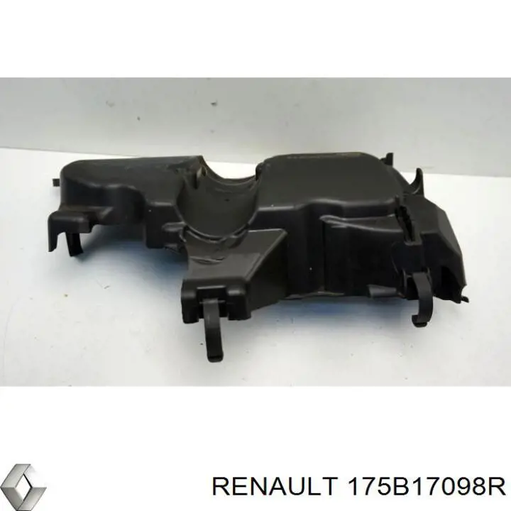 175B17098R Renault (RVI) 