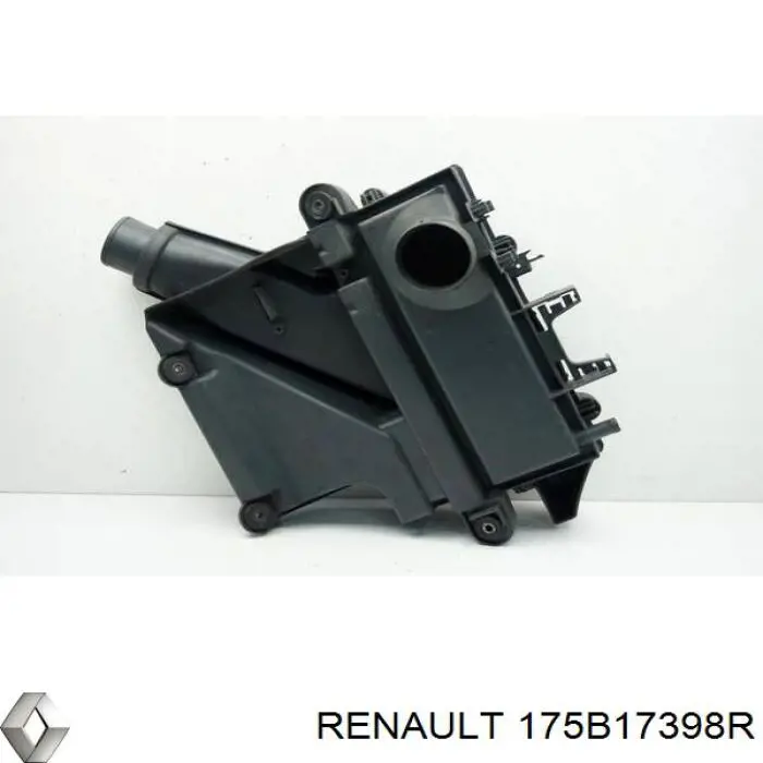  175B17398R Renault (RVI)