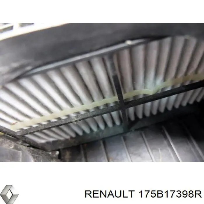 Купити 175B17398R Renault (RVI) 