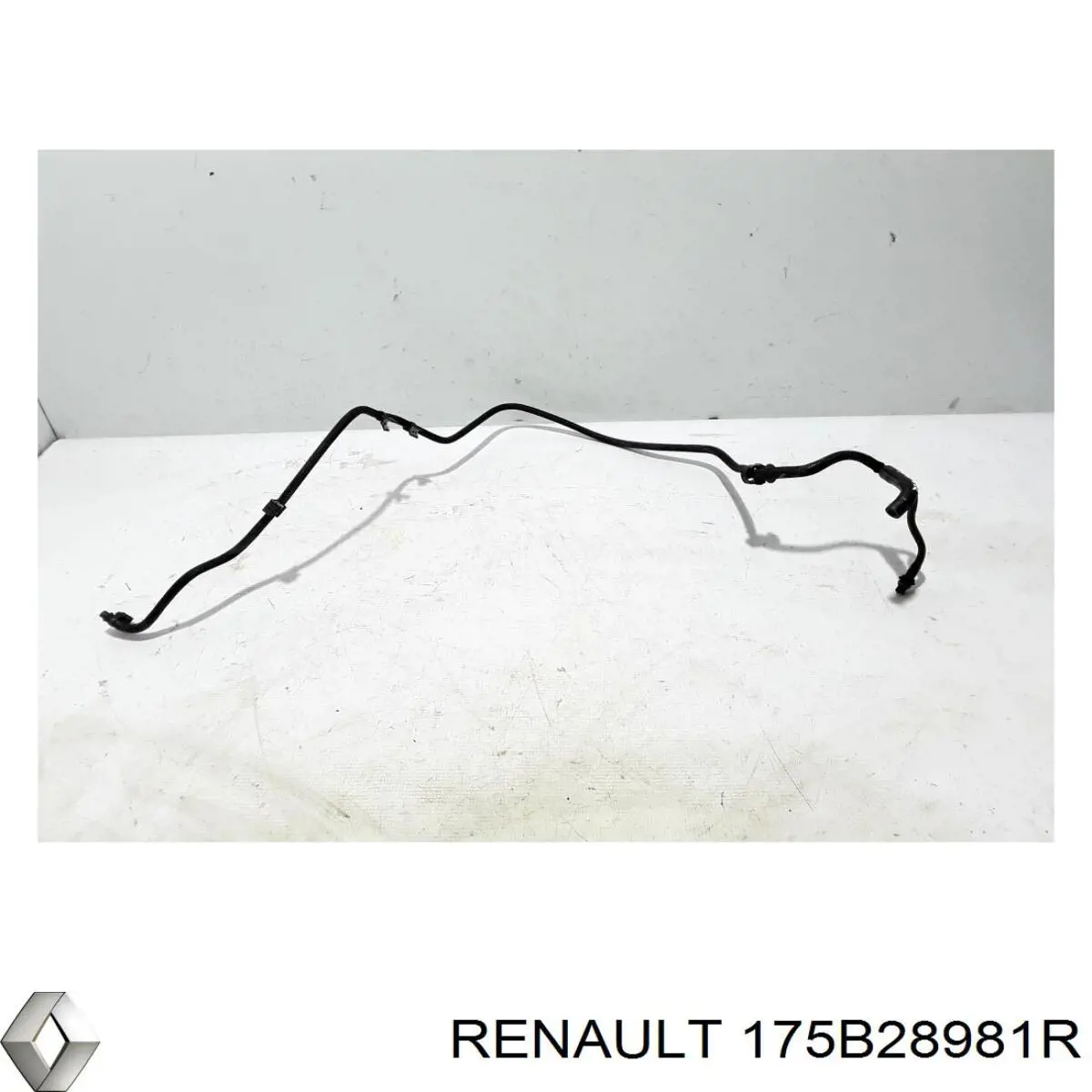  175B28981R Renault (RVI)