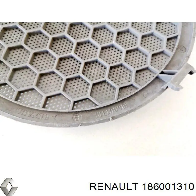 186001310 Renault (RVI)