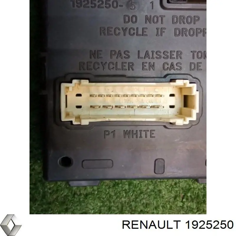 1925250 Renault (RVI) 