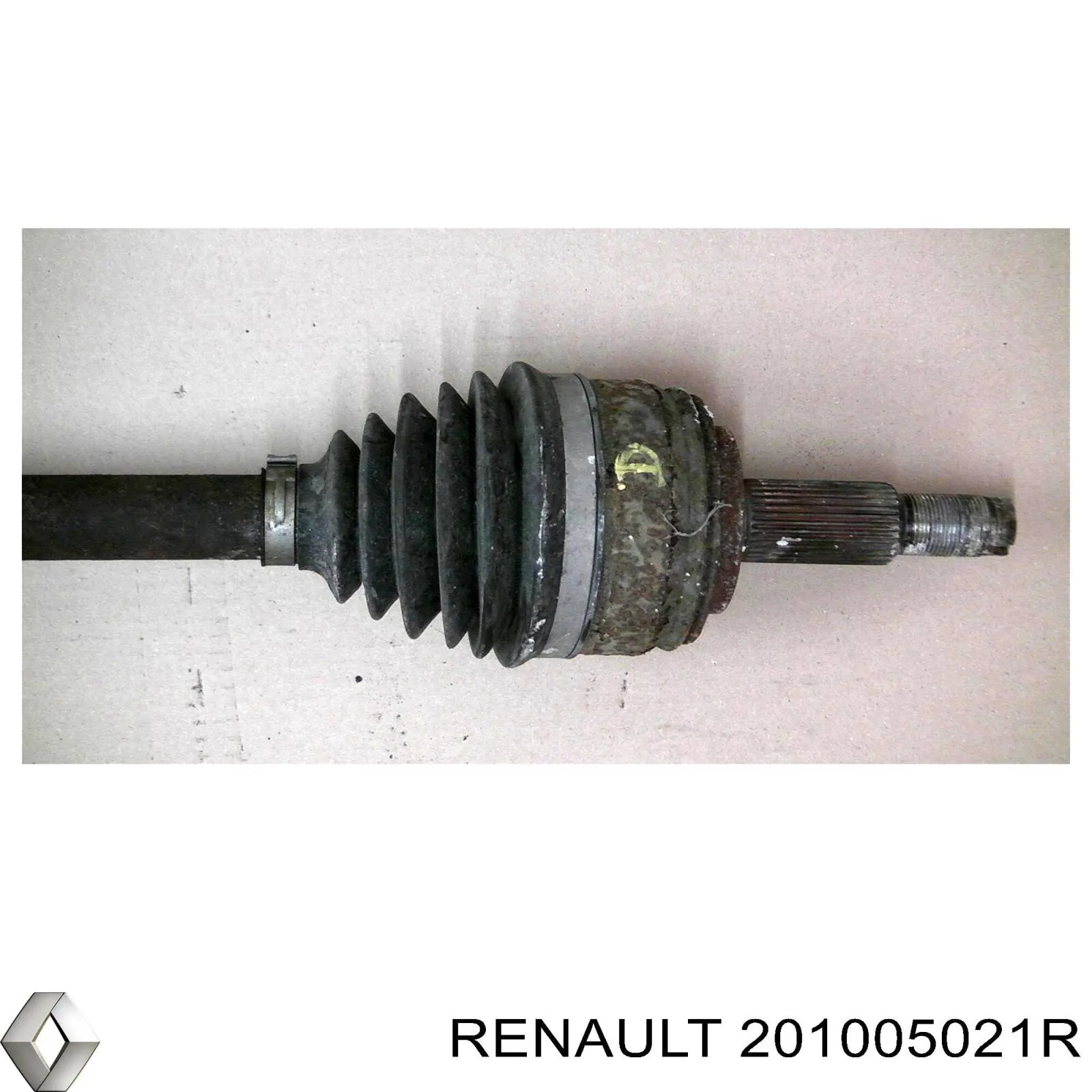  201005021R Renault (RVI)