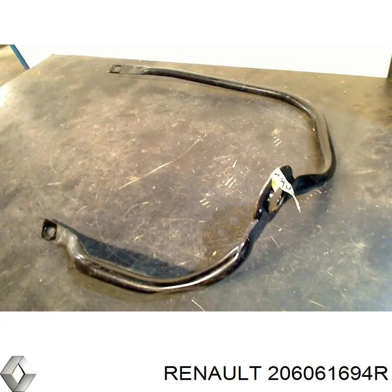 206061694R Renault (RVI) 