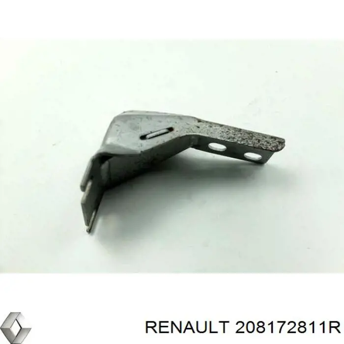 Купити 208172811R Renault (RVI) 