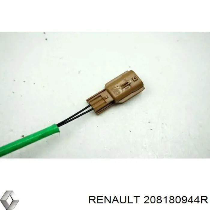 208180944R Renault (RVI) 