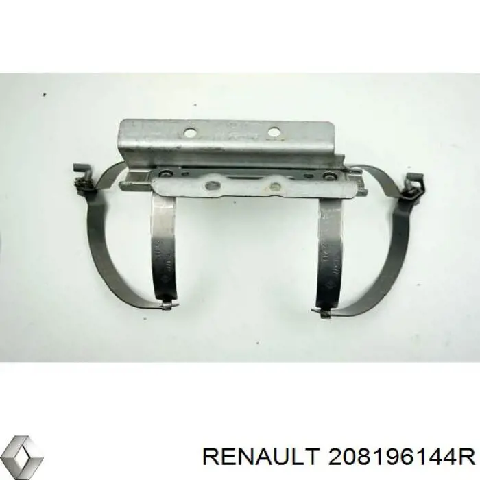 Купити 208196144R Renault (RVI) 