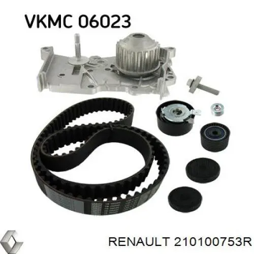 Помпа охолодження Renault (RVI) 210100753R ціна, від 71.56 USD