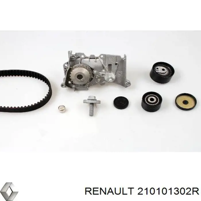 Купити 210101302R Renault (RVI) Насос охолоджуючої рідини