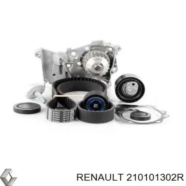 Помпа охолодження Renault (RVI) 210101302R ціна, від 27.54 USD