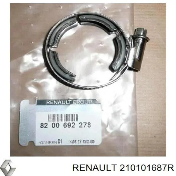 Помпа 210101687R Renault (RVI)
