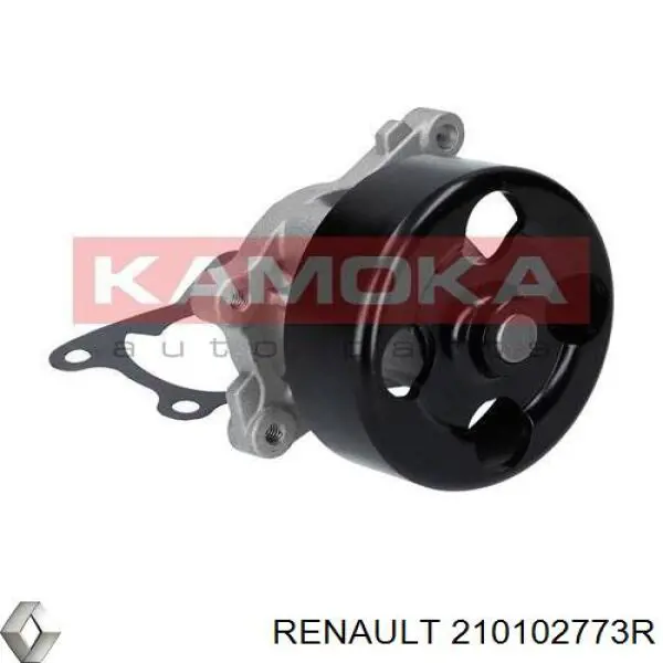 Помпа охолодження Renault (RVI) 210102773R ціна, від 38.87 USD