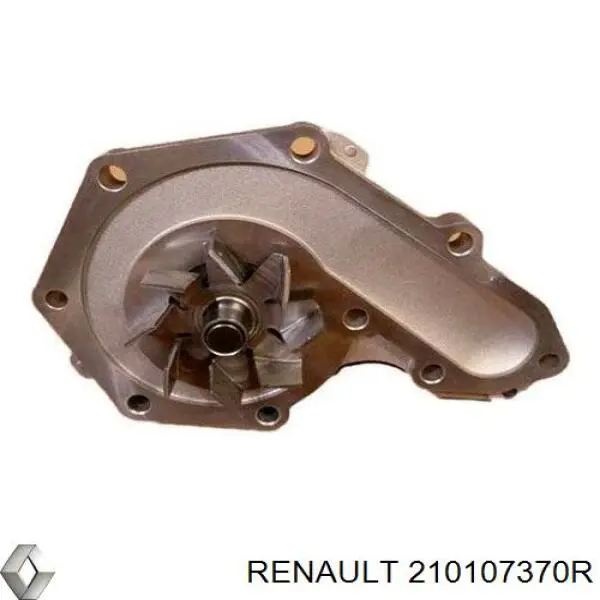 Помпа 210107370R Renault (RVI)