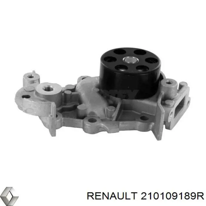 Помпа охолодження Renault (RVI) 210109189R ціна, від 30.46 USD