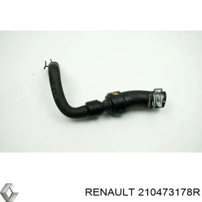  210473178R Renault (RVI)