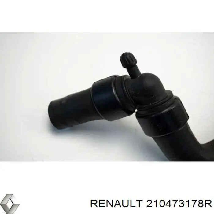  210473178R Renault (RVI)