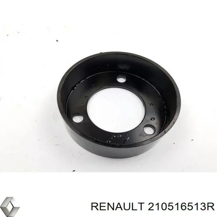 210516513R Renault (RVI) 