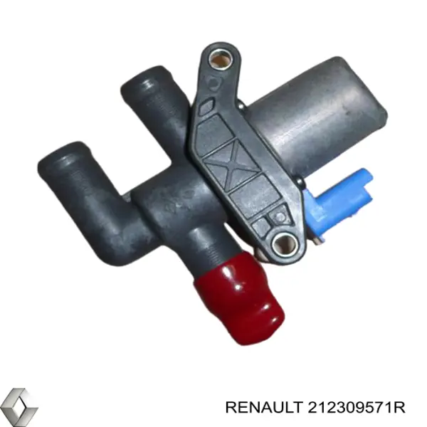  212309571R Renault (RVI)