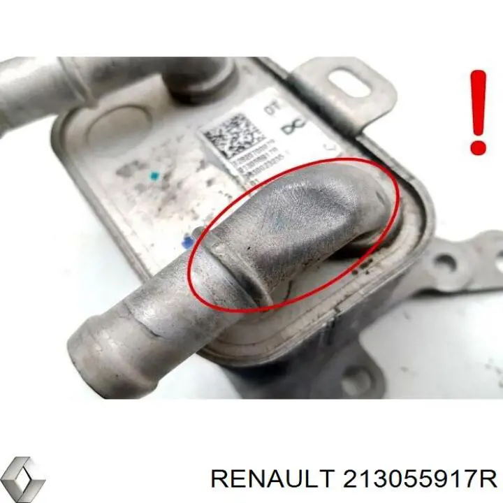 Радіатор масляний 213055917R Renault (RVI)