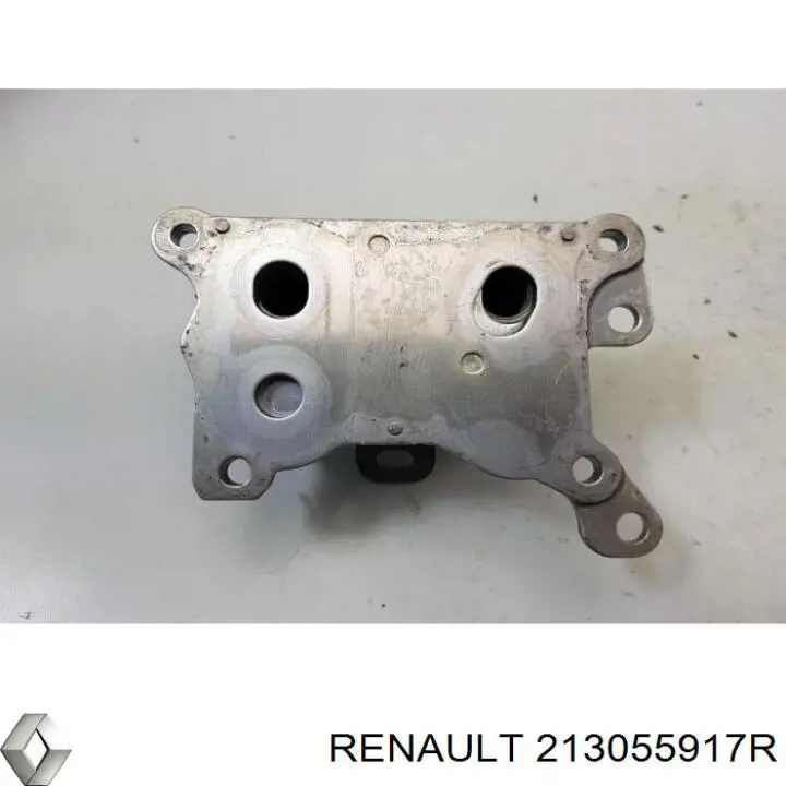 213055917R Renault (RVI) Радіатор масляний