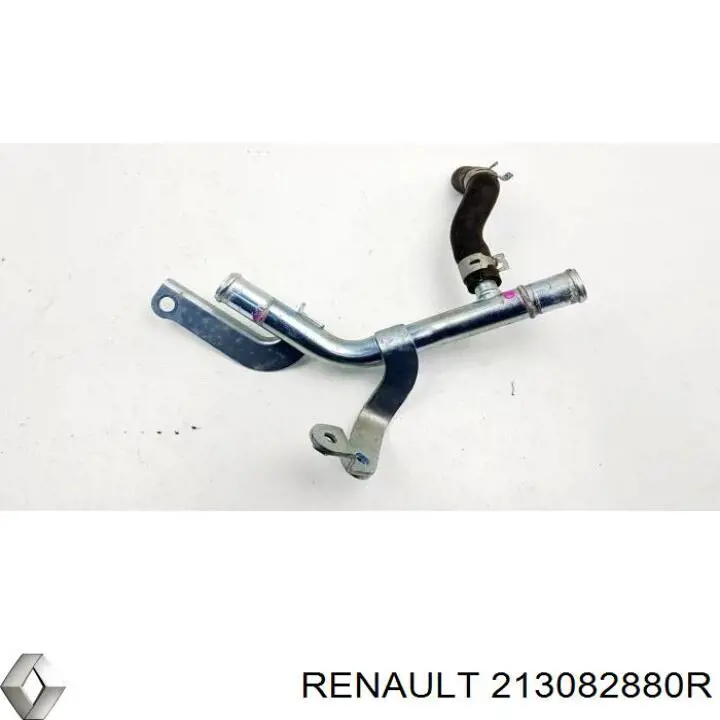  213082880R Renault (RVI)
