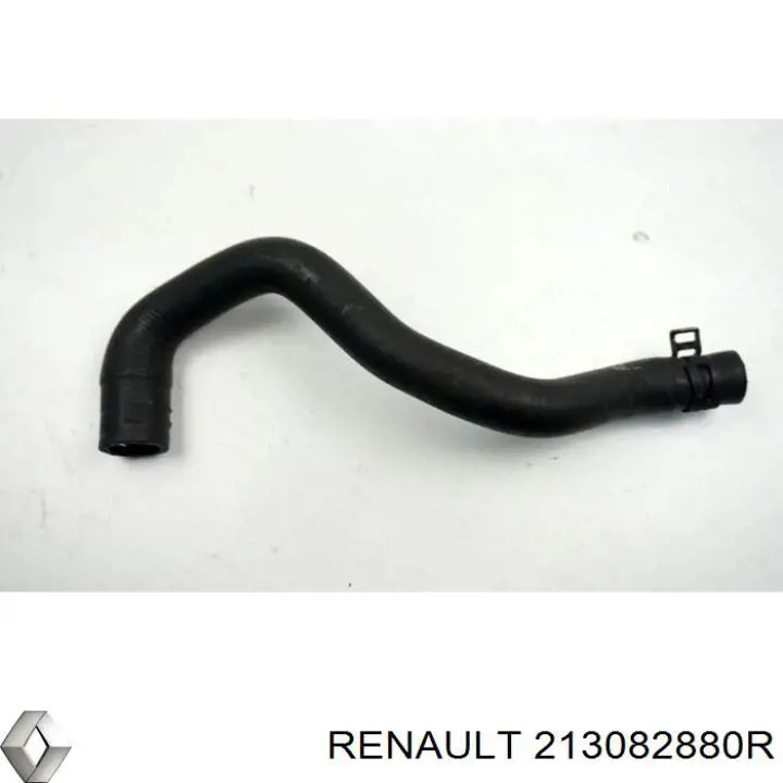 213082880R Renault (RVI) 