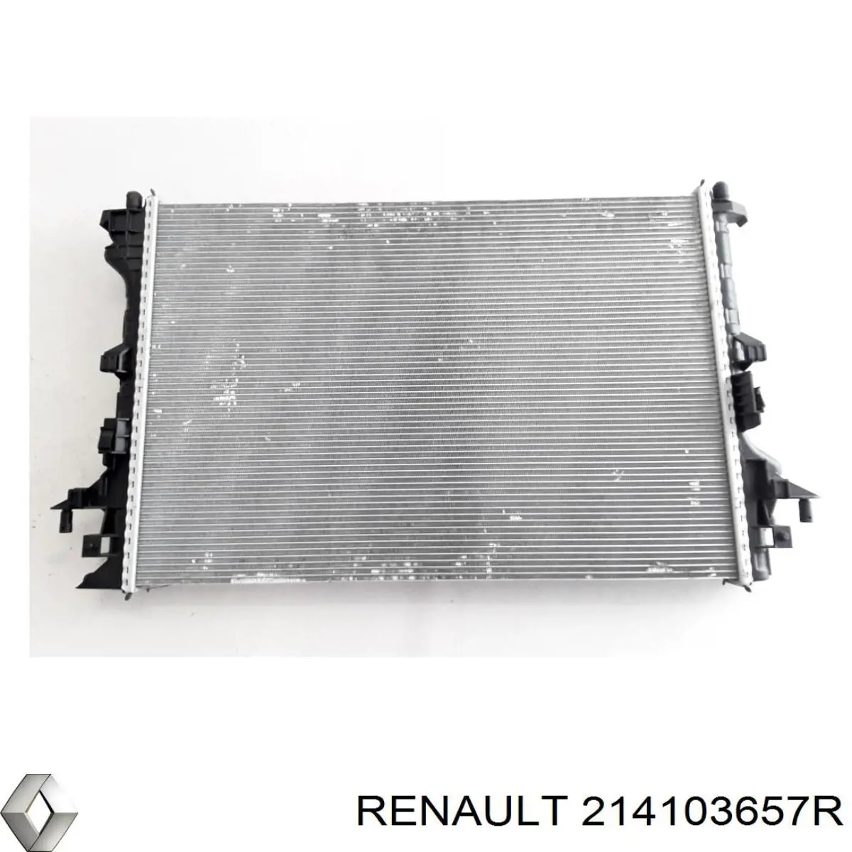  214103657R Renault (RVI)