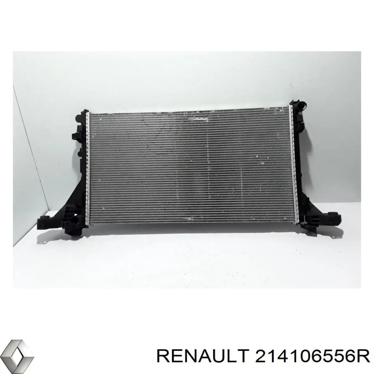  214106556R Renault (RVI)