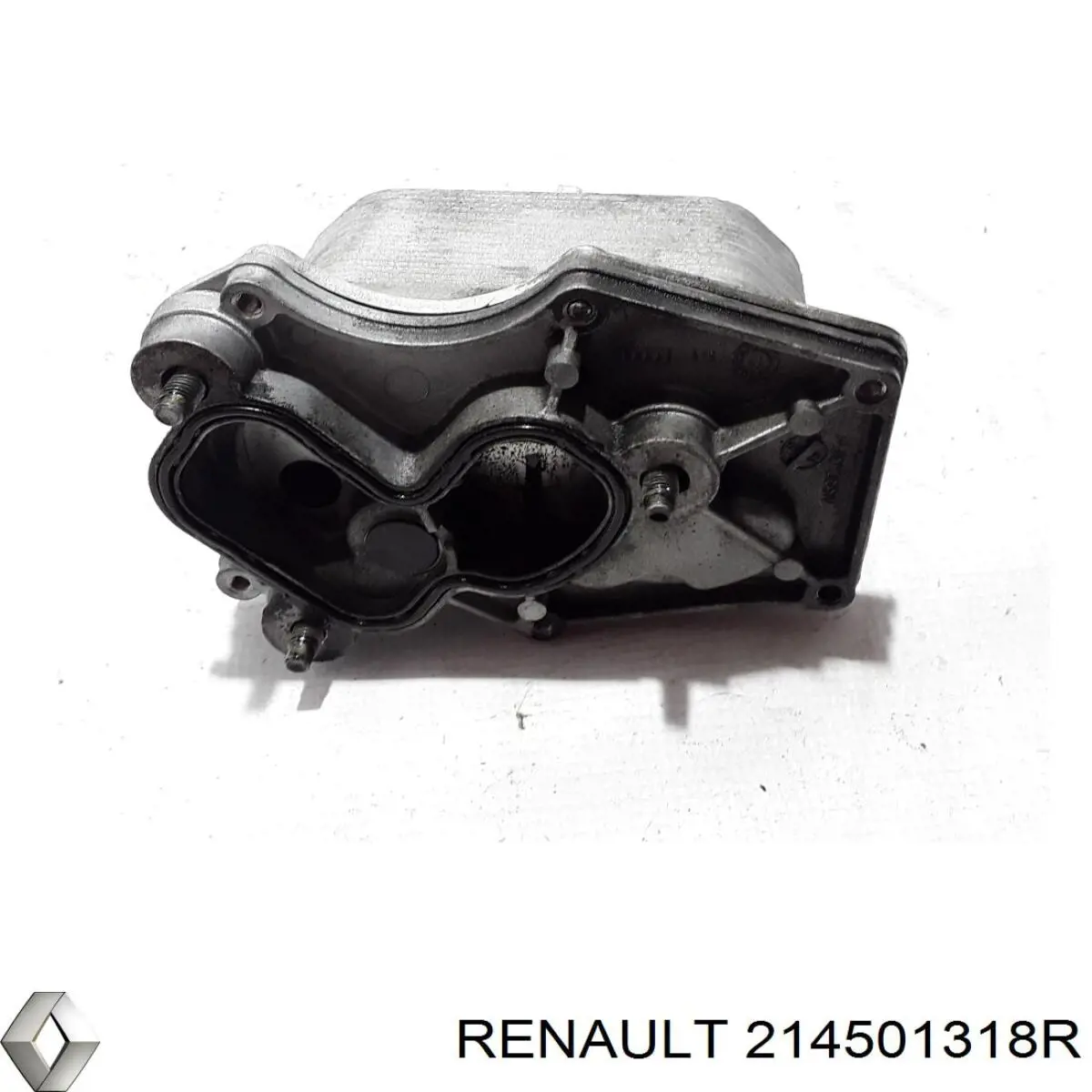  214501318R Renault (RVI)