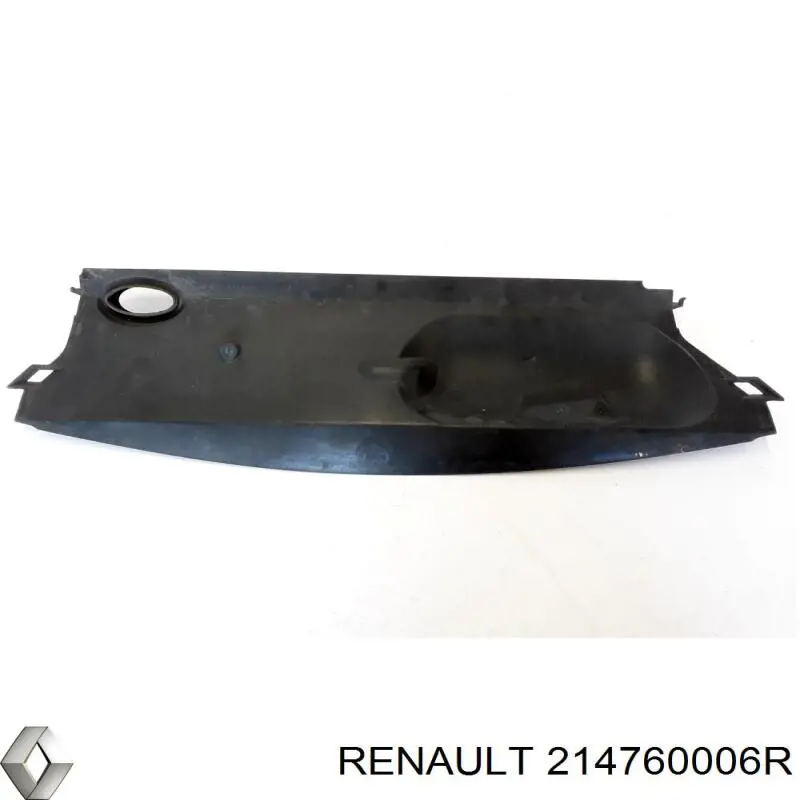  214761655R Renault (RVI)