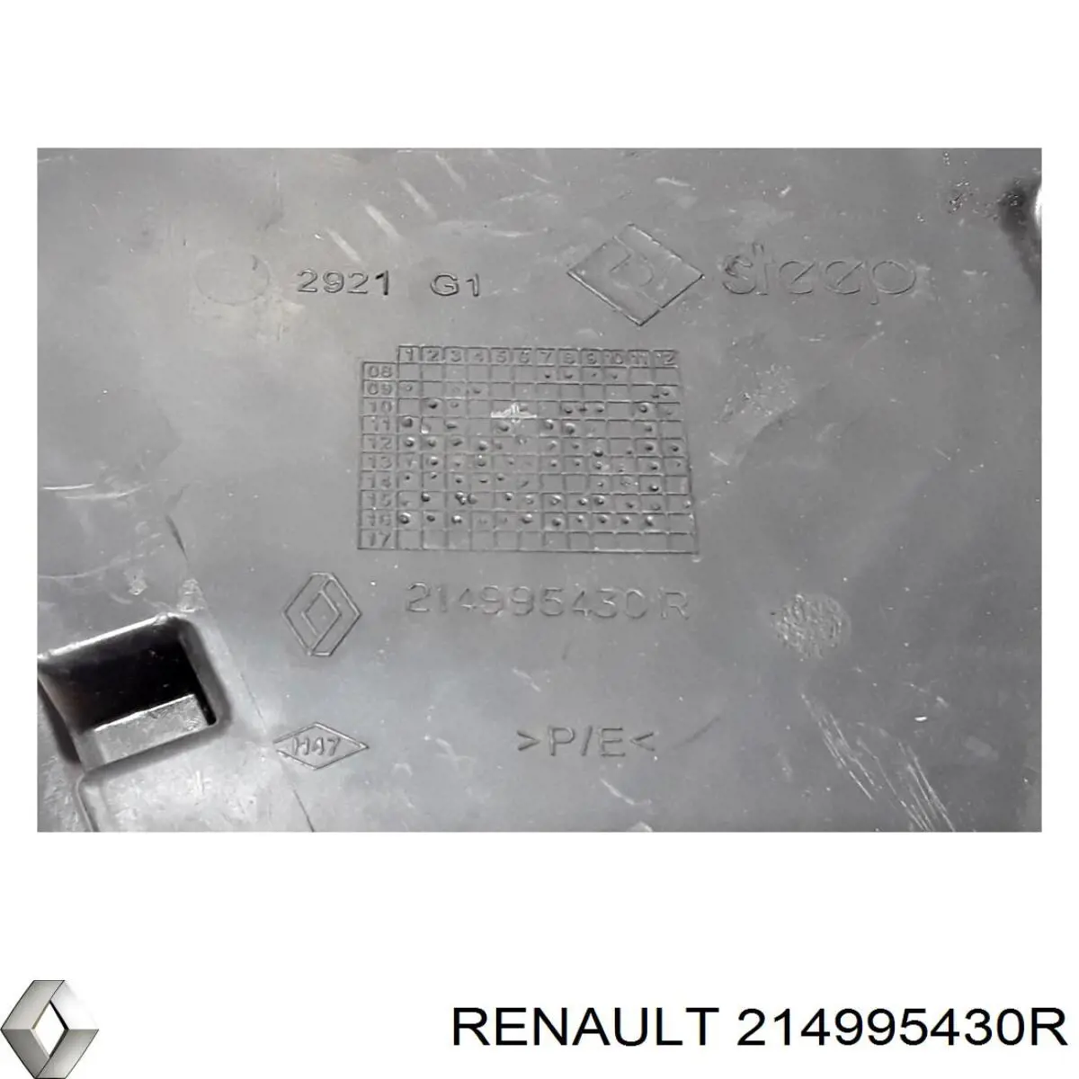  214995430R Renault (RVI)