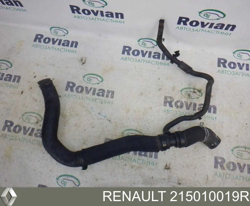 Шланг/патрубок радіатора охолодження, нижній Renault (RVI) 215010019R ціна, від 28.44 USD
