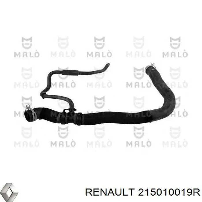 215010019R Renault (RVI) Шланг/патрубок радіатора охолодження, нижній