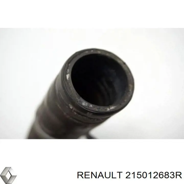 Шланг/патрубок радіатора охолодження, верхній Renault (RVI) 215012683R ціна, від 16.47 USD