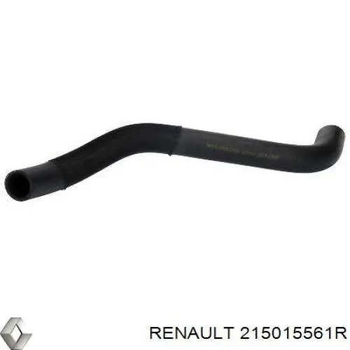  215015561R Renault (RVI)