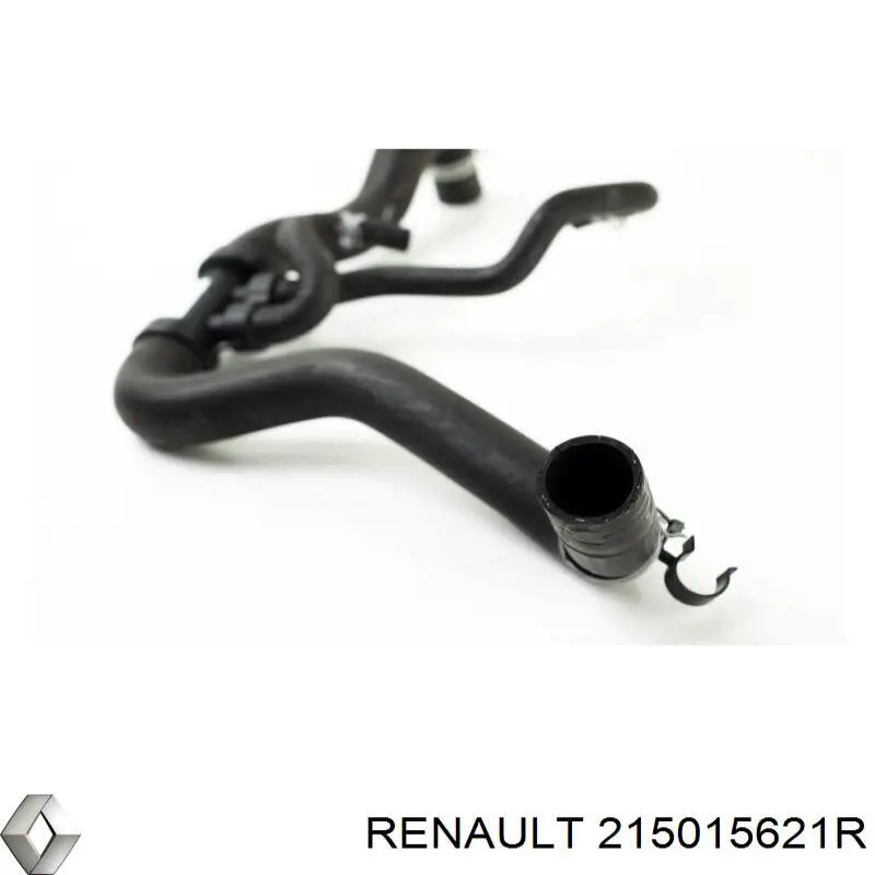 215015621R Renault (RVI) 