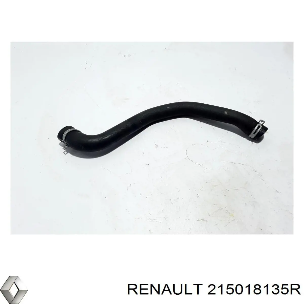 215018135R Renault (RVI) 