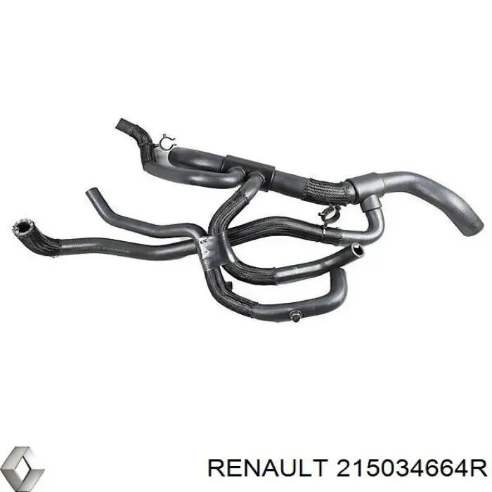 Шланг/патрубок радіатора охолодження, нижній 215034664R Renault (RVI)