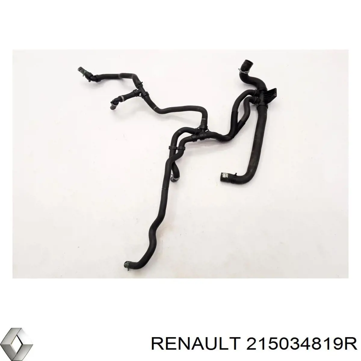  215034819R Renault (RVI)