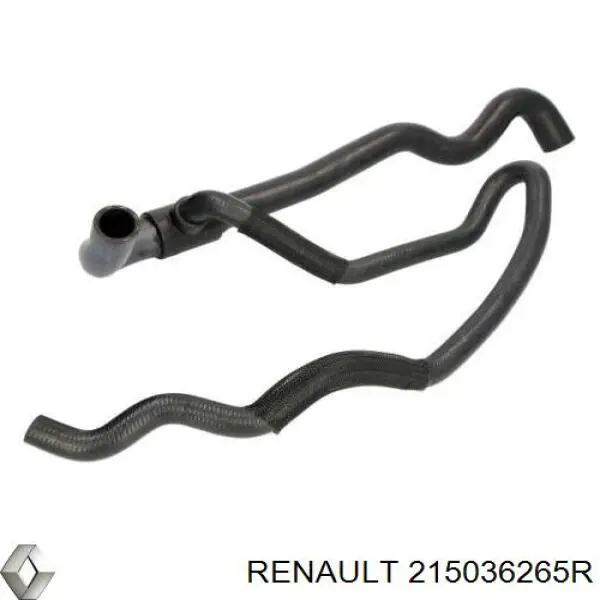 Купити 215036265R Renault (RVI) Шланг/патрубок радіатора охолодження, нижній