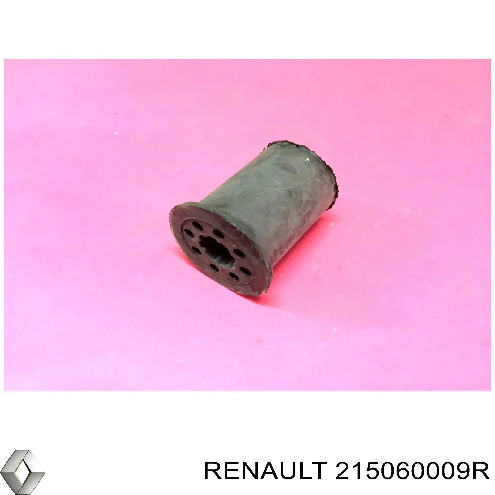  215060009R Renault (RVI)