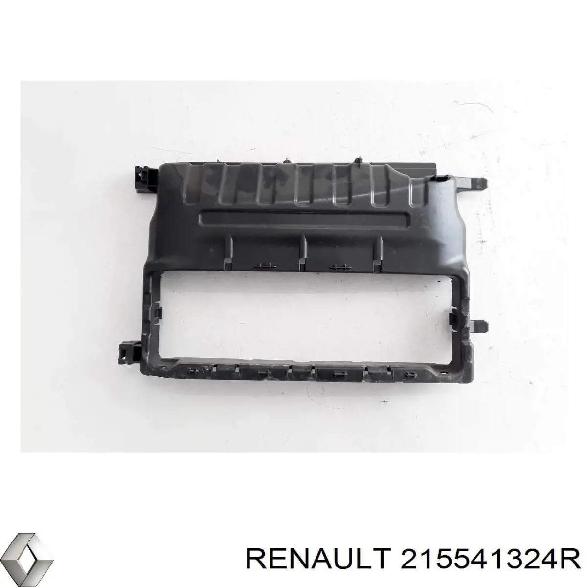  215541324R Renault (RVI)