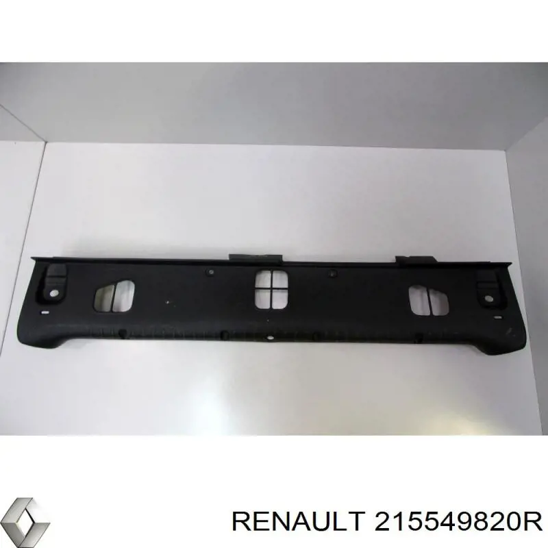  Renault (RVI) 215549820R