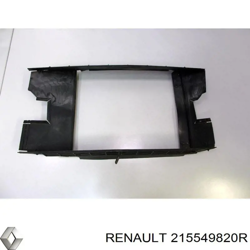 215549820R Renault (RVI) 
