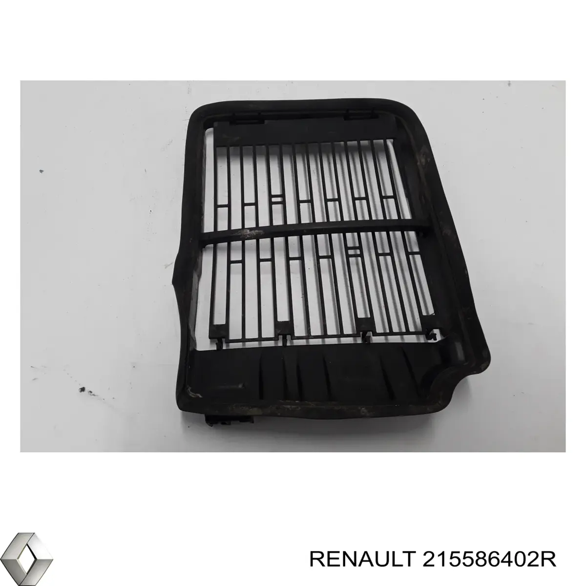 215586402R Renault (RVI) 