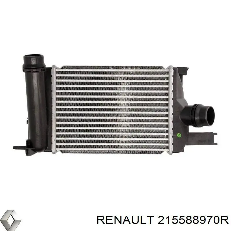  215588970R Renault (RVI)